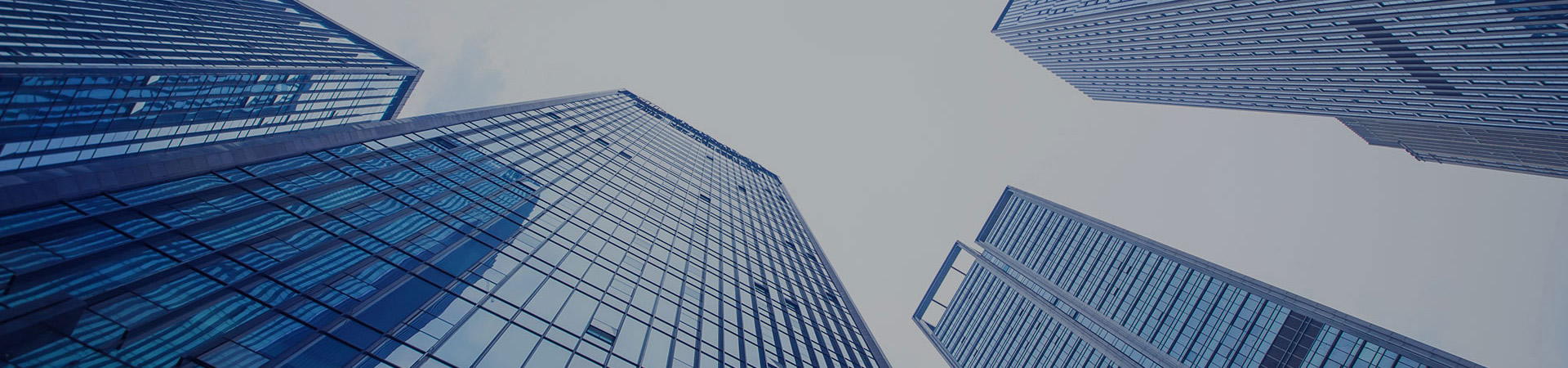Company Profile